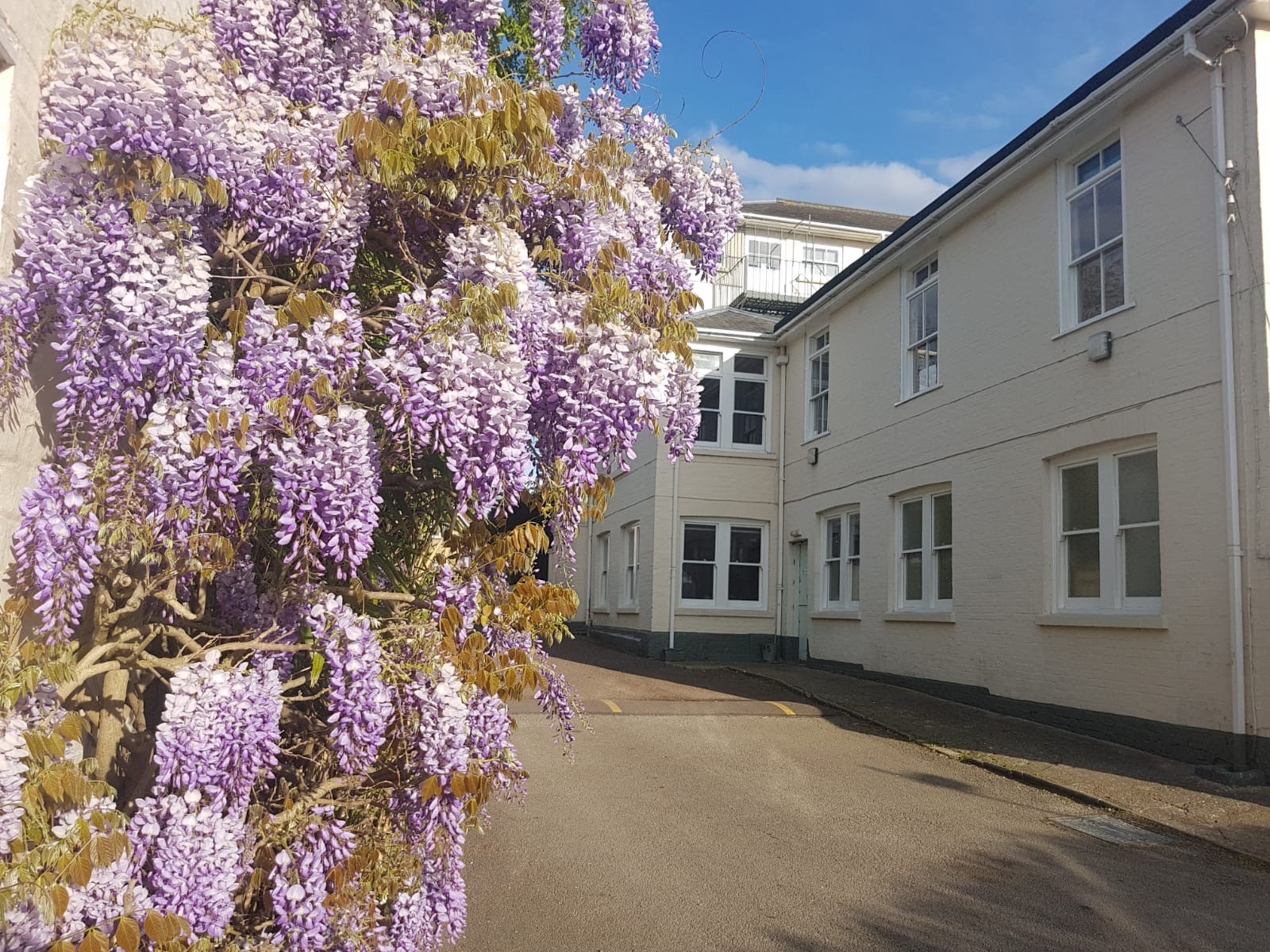 Cambridge academy of english cae update may 2020 after 45 years